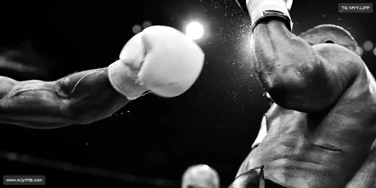 <strong>米兰</strong>🥋武道修行，不止于动作，更是对自我 discipline 的极致追求！