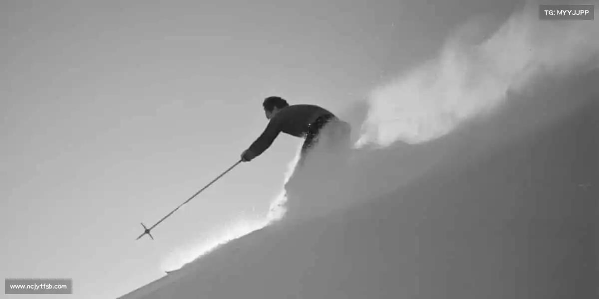 为什么选择我们